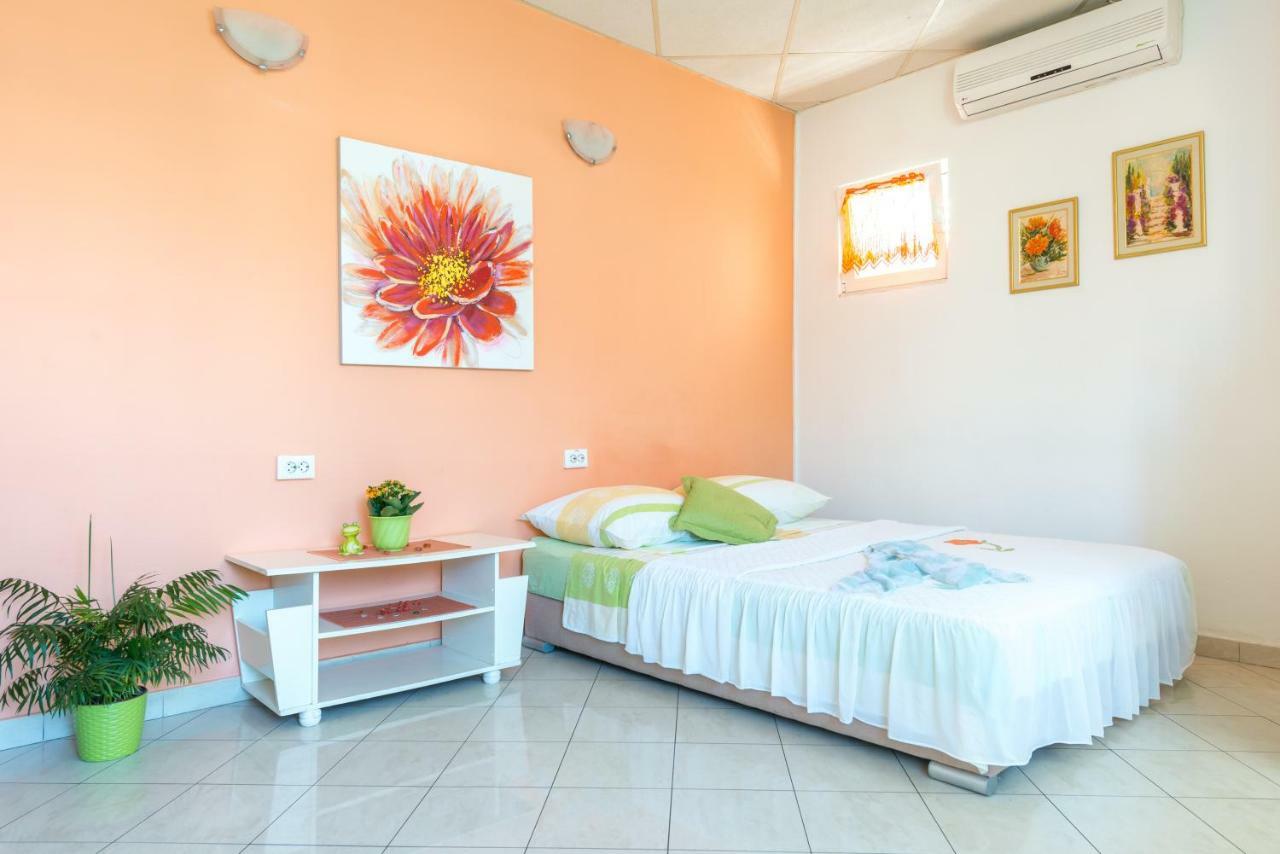Cute & Cozy Studio 杜布罗夫尼克 外观 照片